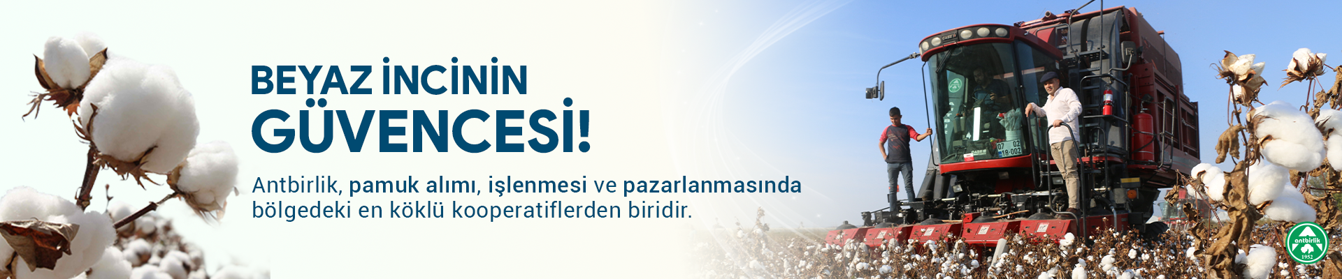 pamuk pamuk