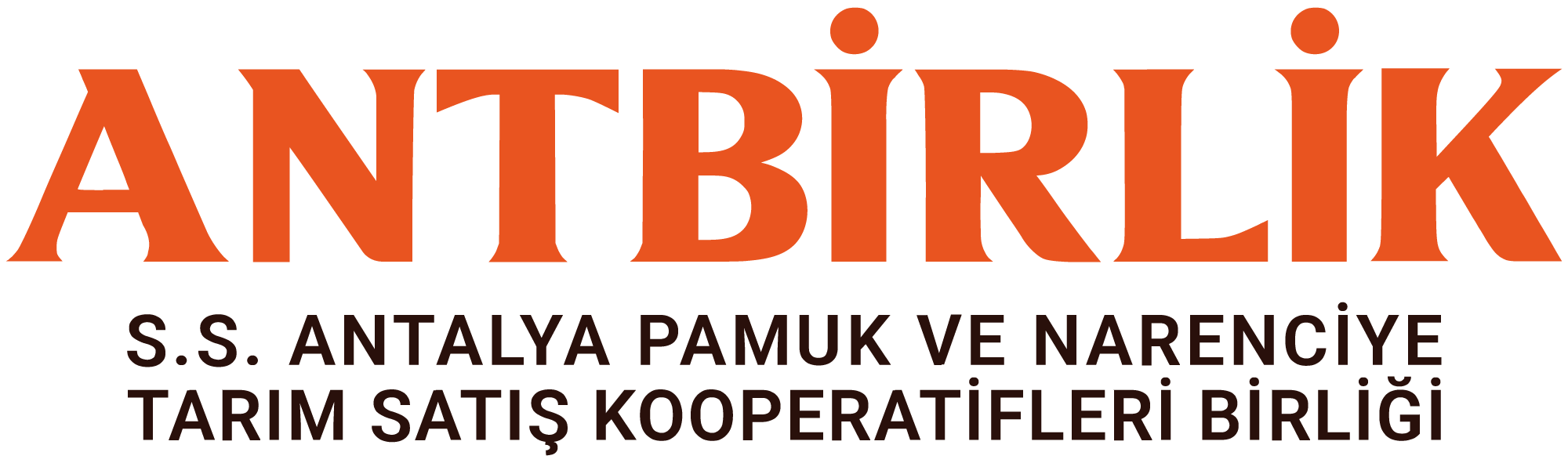 YAZI LOGOSU + TANIM