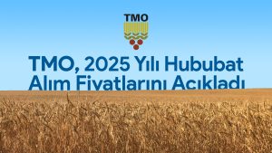 Read more about the article TMO, 2025 Yılı Hububat Alım Fiyatlarını Açıkladı