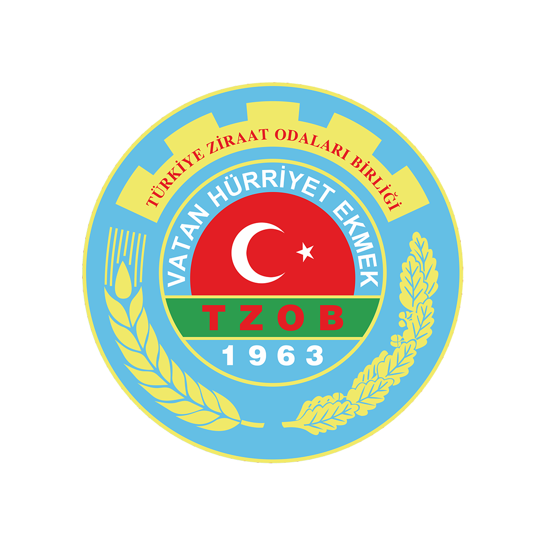 TZOB
