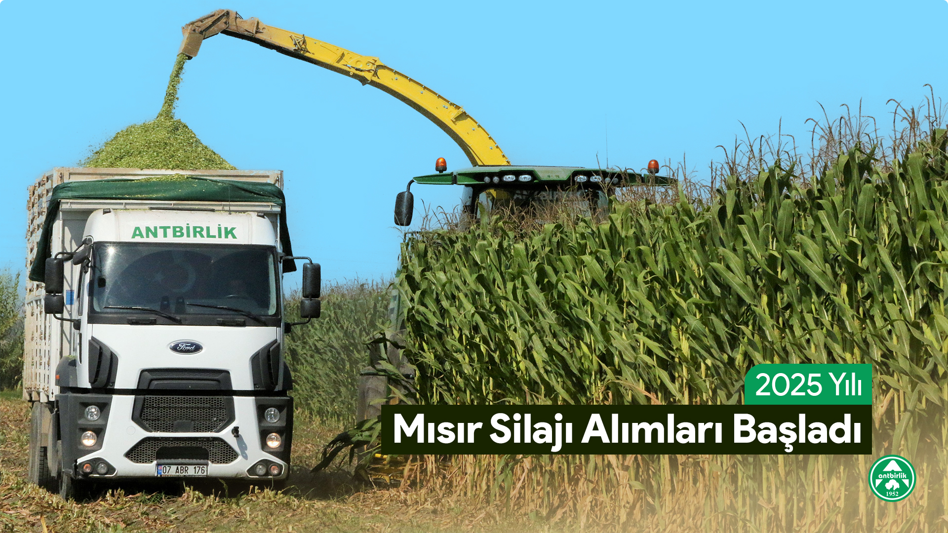 Read more about the article 2025 Yılı Mısır Silajı Alımları Başladı
