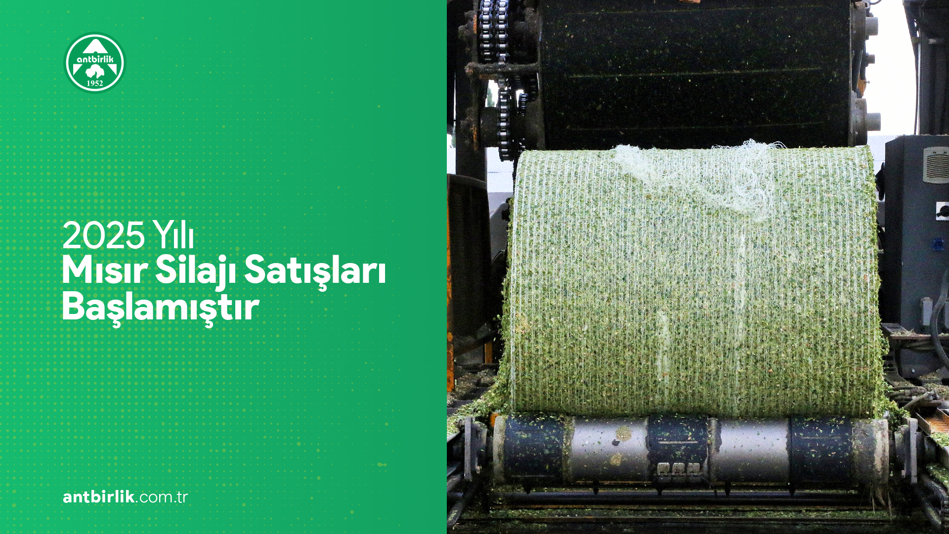 Read more about the article 2025 Yılı Mısır Silajı Satışları Başlamıştır