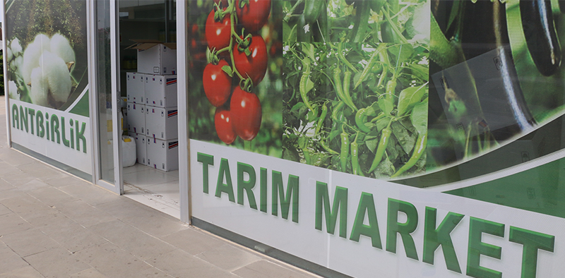 Antbirlik_TM_1