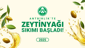 Read more about the article Antbirlik’te Zeytinyağı Sıkımı Başladı!