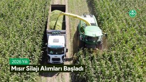 Read more about the article 2026 Yılı Mısır Sılajı Alımları Başladı