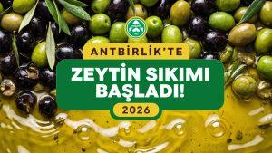 Makale hakkında daha fazla bilgi edinin Zeytinyağı Tesisimizde 2026 Zeytin Sıkım Sezonu Başladı!